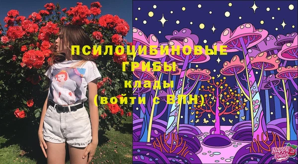spice Бугульма