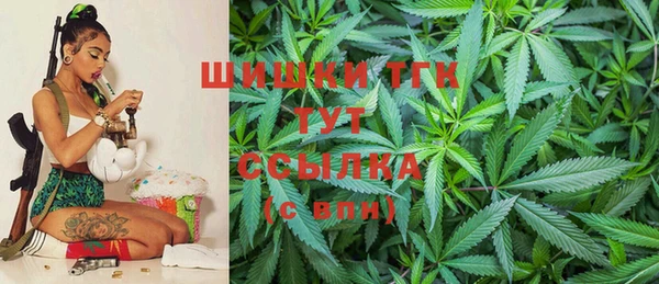 спайс Бородино
