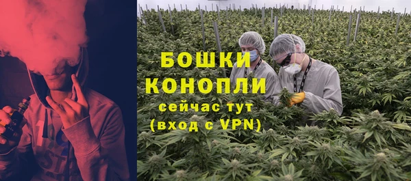 прущая мука Верея